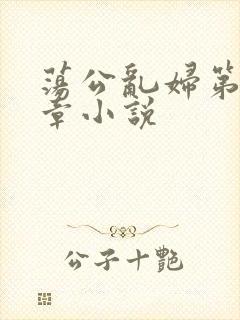 荡公乱妇第51章小说