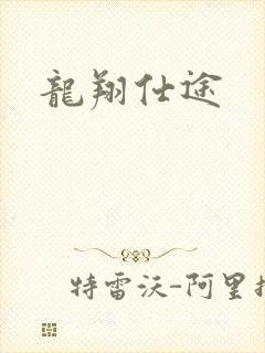 龙翔仕途
