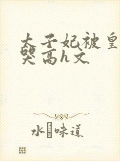 太子妃被皇上c哭高h文封面