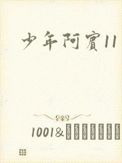 少年阿宾11封面