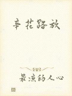 辛花路放封面