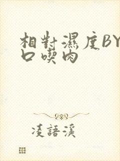 相对湿度BY大口吃肉