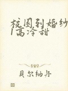 校园到婚纱1V1高冷甜