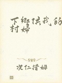 下乡供我的发泄村妇封面