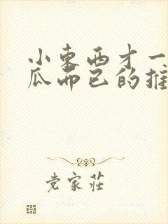 小东西才一根黄瓜而已的推荐书