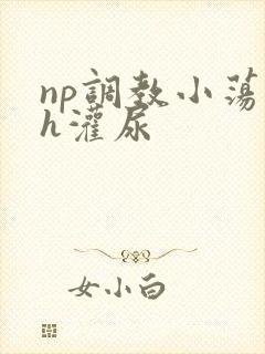np调教小荡货h灌尿封面