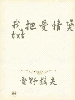 我把爱情煲成汤txt