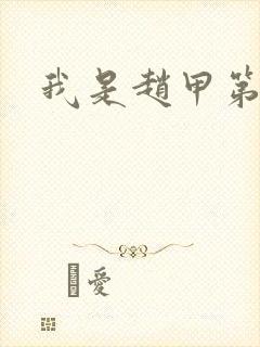 我是赵甲第小说