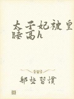 太子妃被皇上强睡高h