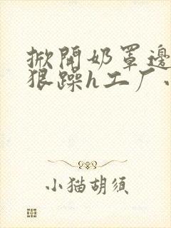 掀开奶罩边躁狠狠躁h工厂小说封面