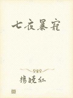 七夜暴宠封面