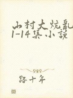 山村大炕乱肉续1-14集小说