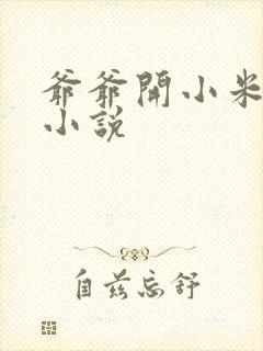 爷爷开小米的包小说