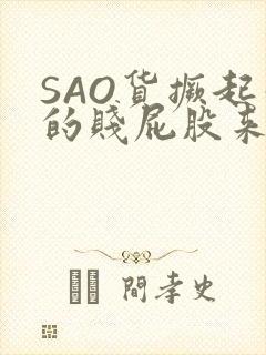 SAO货撅起你的贱屁股来