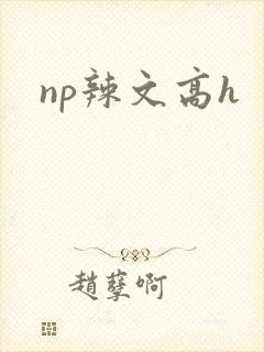 np辣文高h