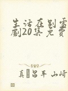 生活在别处电视剧20集免费观看封面