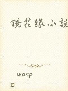 镜花缘小说