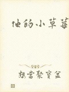 他的小草莓
