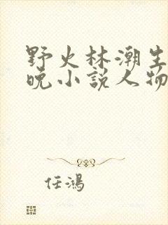 野火林潮生林晚晚小说人物野火