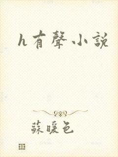 h有声小说