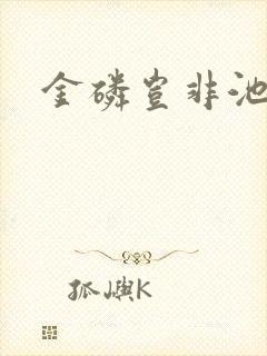 金磷岂非池中物封面