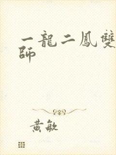 一龙二凤双飞老师封面