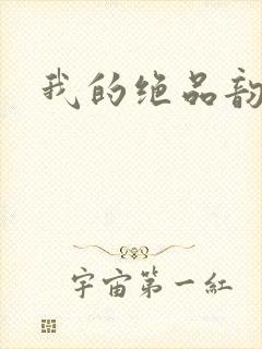 我的绝品韵母封面