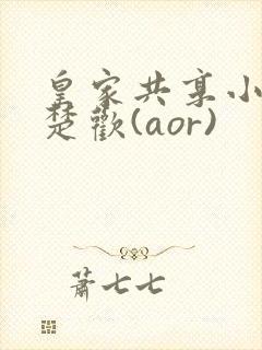 皇家共享小公主楚欢(aor)