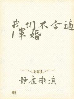 我们不合适1v1军婚