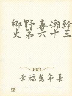乡野春潮干柴烈火第六十三章
