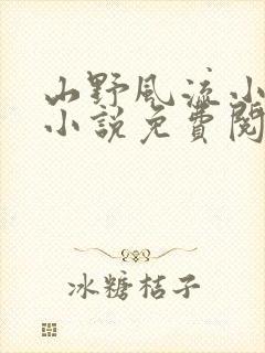 山野风流小神医小说免费阅读封面