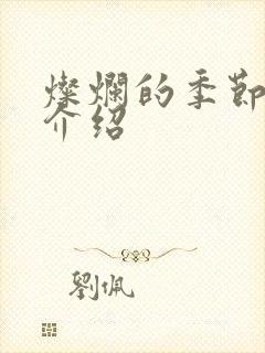 灿烂的季节剧情介绍