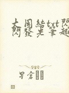 大团结txt闪闪发光笔趣阁封面