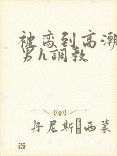 被脔到高潮的直男h调教