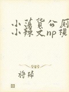 小荡货公厕h文小辣文np视频