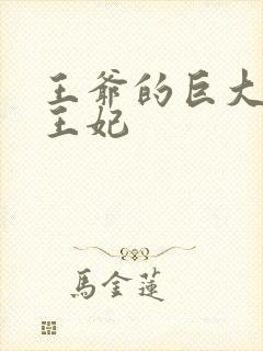 王爷的巨大进入王妃