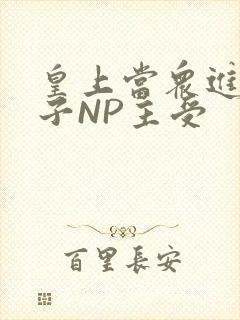 皇上当众进入太子NP主受封面