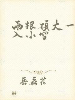 两根硕大一起挤入小雪