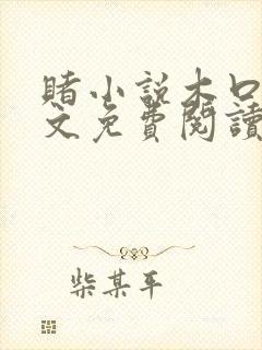 赌小说木口银全文免费阅读笔趣阁