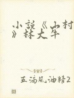 小说《山村情事》林大牛