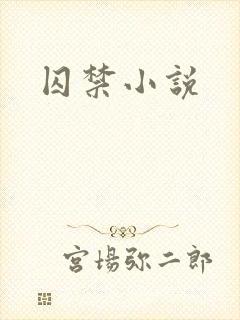 囚禁小说封面