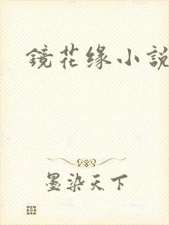 镜花缘小说