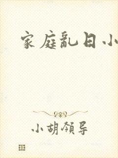 家庭乱日小说