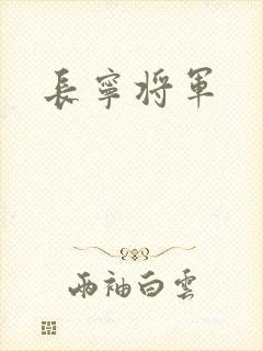 长宁将军