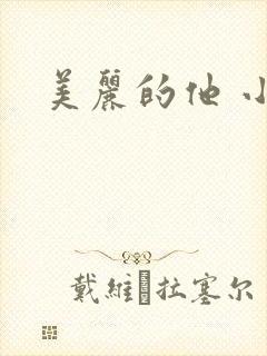 美丽的他 小说封面