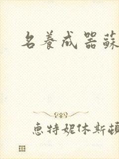 名养成器苏沫沫