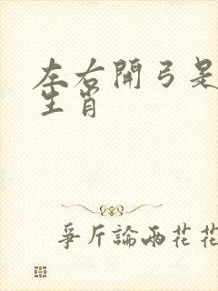 左右开弓是什么生肖