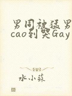 男同被猛男房东cao到哭Gay