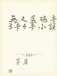 无人区码卡二卡3卡4卡小说
