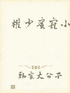 权少蜜宠小娇妻